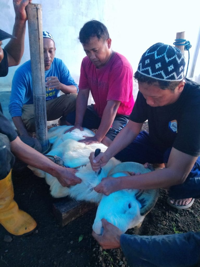 IDUL ADHA; PERJALANAN BERBAGI 5