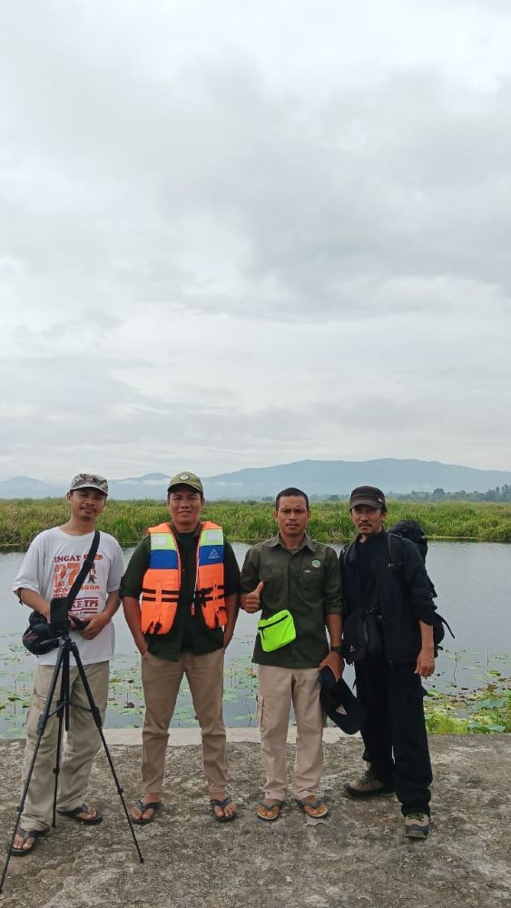 LA BONGO DARI TAWARO MOTU'O: Catatan Gambut Rawa Aopa di Desa Pewutaa rawa 1