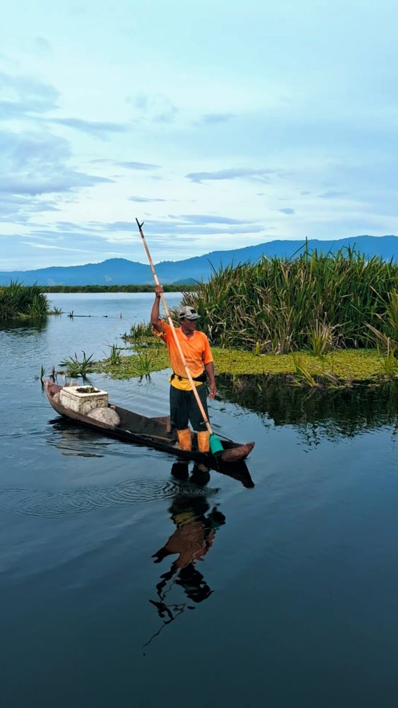 LA BONGO DARI TAWARO MOTU'O: Catatan Gambut Rawa Aopa di Desa Pewutaa rawa 3 1000