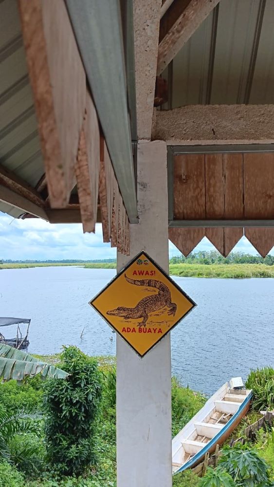 LA BONGO DARI TAWARO MOTU'O: Catatan Gambut Rawa Aopa di Desa Pewutaa rawa 6