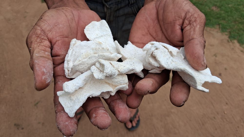 Ondo Tak Boleh Habis ondo kering 1