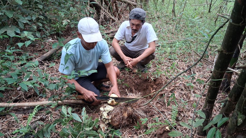 Ondo Tak Boleh Habis