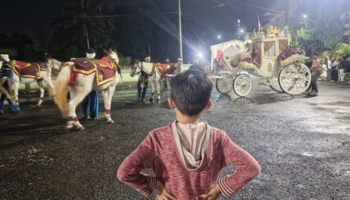 binokasih 15