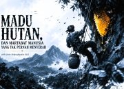 MADU HUTAN DAN MARTABAT MANUSIA YANG TAK PERNAH MENYERAH