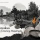 Murbayaksa Di Désa Ciméong Majalengka Murbayaksa Di Desa Cimeong Majalengka