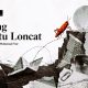 sang kutu loncat