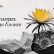 Newsantara Wijaya Kusuma cermin Newsantara Wijaya Kusuma