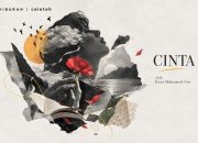 cinta