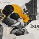 INDUNG indung